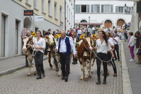 chaestag-2a Jurablick Blasmusikaten